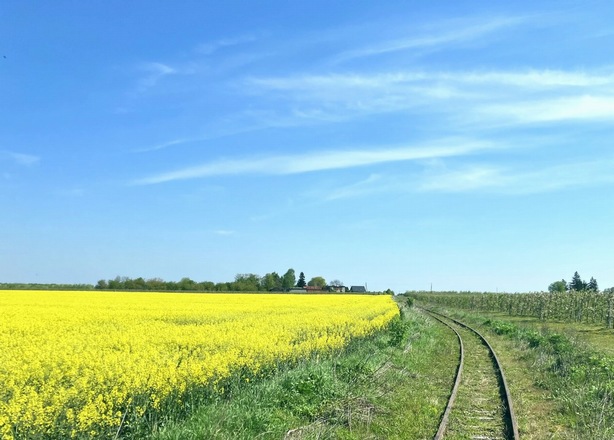 Bilety na  12.04.2026 (niedziela) Wiosenne drezynowanie