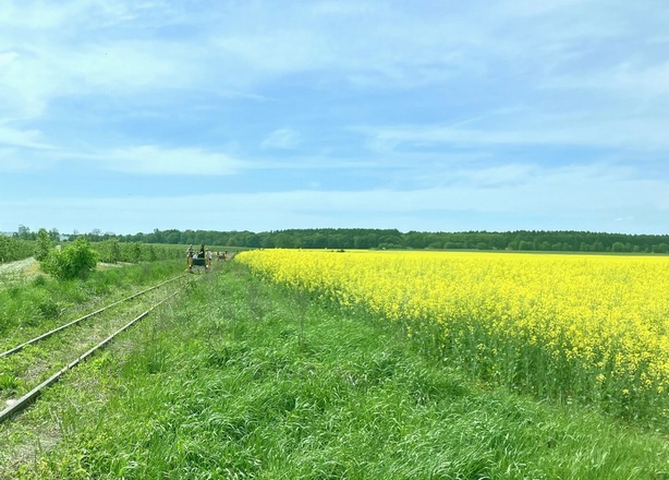 Bilety na  24.05.2026 (niedziela) Zielone Świątkowe drezynowanie