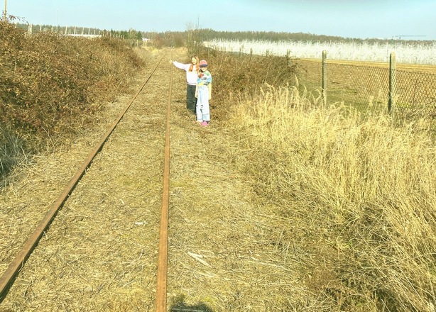 Bilety na  09.06.2026 (wtorek) Drezyny na żądanie